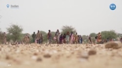 Sudan’da Binlerce Kişi Çatışmalardan Kaçıyor
