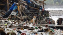 Seekor kucing terlihat di antara sampah yang sebagian besar berupa sampah plastik dan rumah tangga, di sebuah pantai di perkampungan nelayan Teluk, Pandeglang, Banten, 15 Maret 2024. (Foto: REUTERS /Willy Kurniawan)