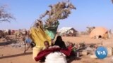 አስከፊው ድርቅ በሶማሊያ ሚሊየኖችን አፈናቀለ