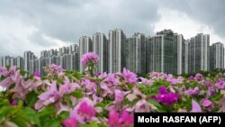 Jajaran kondominium di Forest City, sebuah proyek pembangunan yang diluncurkan di bawah Inisiatif Sabuk dan Jalan China di Gelang Patah di Johor Malaysia, 1 September 2023. (Foto: AFP/Mohd RASFAN)