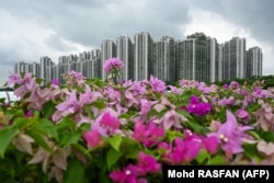 Jajaran kondominium di Forest City, sebuah proyek pembangunan yang diluncurkan di bawah Inisiatif Sabuk dan Jalan China di Gelang Patah di Johor Malaysia, 1 September 2023. (Foto: AFP/Mohd RASFAN)