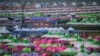 Jambore Pramuka di Korsel akan Berakhir Dini karena Peringatan Topan