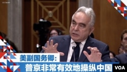 美副国务卿：普京非常有效地操纵中国 