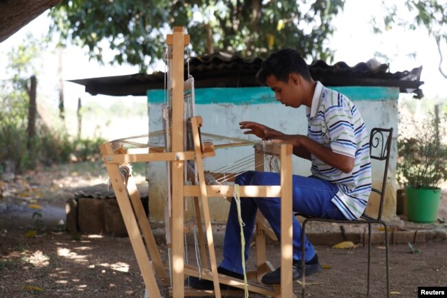 Raydel Guirola weaves a silk cloth at a farm in Matanzas, Cuba, May 16, 2024. (REUTERS/Yander Zamora)