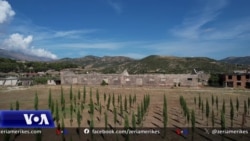 Shënohet Dita Europiane e Përkujtimit të Viktimave të Regjimeve Totalitare