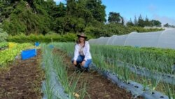 Especial "Mujeres en Latinoamérica. Educación e Igualdad de Género" – Guatemala
