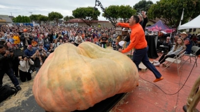 US Grower Sets World Record for Heaviest Pumpkin