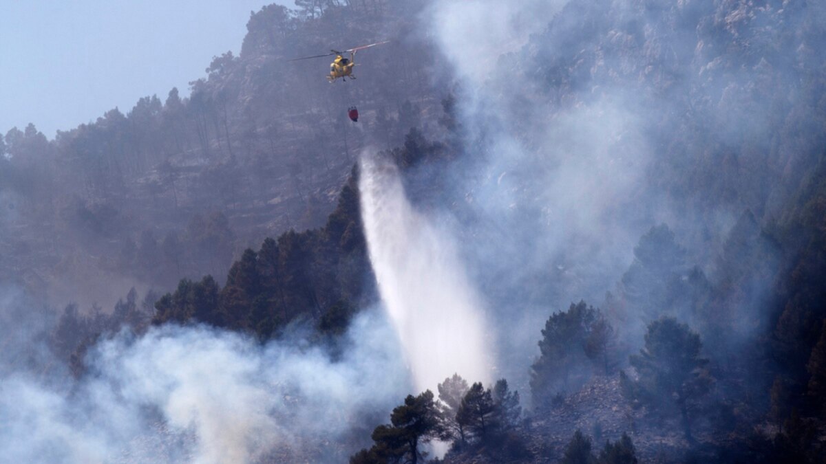 100 Wildfires in Northern Spain; Officials Say Arson Behind Most - Vimarsana News