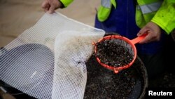 Anggota otoritas setempat membersihkan pasir di pantai Ladeira dari butiran plastik yang terbawa arus ke wilayah pantai utara Spanyol, termasuk pantai Ladeira di Galicia pada 14 Januari 2024. (Foto: Reuters/Miguel Vidal)