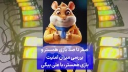 صفر تا صد بازی همستر و بررسی میزان امنیت آن، با علی بیگی