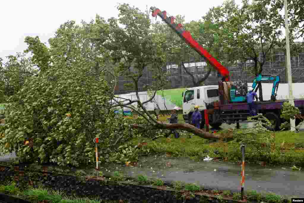 Workers use a crane while cutting a fallen tree after Typhoon Gaemi passed northern Taiwan in Yilan, Taiwan, July 25, 2024.