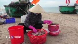 Làng chài Phước Hải