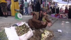 كنگر و گیا به‌هارییەکان جێیان بە خۆراکەکانی تر لێژ کردووە