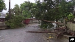 A tree lays across a street in Quelimane, Mozambique, March 12, 2023. Record-breaking Cyclone Freddy made its second landfall in Mozambique Saturday night, pounding the southern African nation with heavy rains and disrupting transport and telecommunications services.