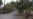 Record-Strength Cyclone Freddy Pounds Mozambique after Making 2nd Landfall