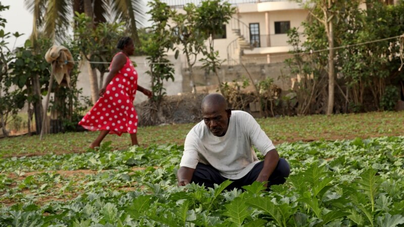 Comment booster le développement du secteur agricole au Togo?