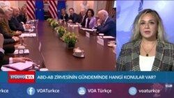 ABD-AB zirvesinin gündeminde hangi konular var?