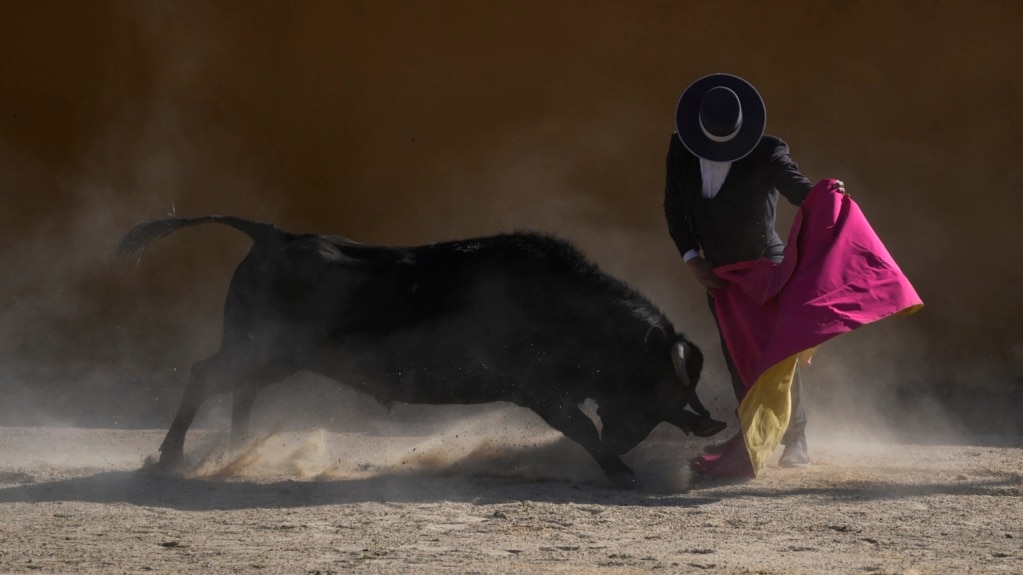 Colombia to Vote on Bullfighting Ban