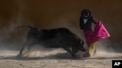 Bullfighter Sebastian Vargas performs a pass at the Hacienda Vista Hermosa bullring in Villa Pinzón, Colombia, Saturday, Feb. 25, 2023.