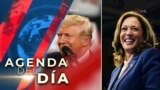 Harris aventaja a Trump en 3 estados pendulares. Júlia Riera de la Voz de América informa desde Washington.