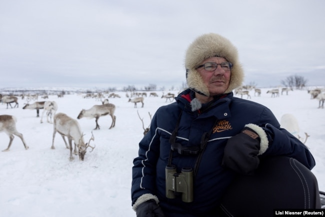 Sami reindeer herder Nils Mathis Sara, 65, monitors his reindeer during supplementary feeding near Geadgebarjavri, up on the Finnmark plateau, Norway, March 13, 2024. (REUTERS/Lisi Niesner)