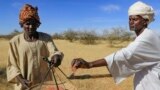 FILE-Sudanese men harvest gum arabic sap from an acacia tree, in the state-owned Demokaya research forest some 30km east of El-Obeid, the capital city of the central wilayet (state) of North Kordofan, on January 9, 2023. Sudan is among the countries hardest hit by climate change