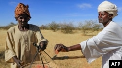 FILE-Sudanese men harvest gum arabic sap from an acacia tree, in the state-owned Demokaya research forest some 30km east of El-Obeid, the capital city of the central wilayet (state) of North Kordofan, on January 9, 2023. Sudan is among the countries hardest hit by climate change