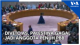 Diveto AS, Palestina Gagal Jadi Anggota Penuh PBB