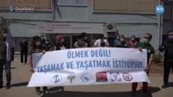 Sağlık Örgütleri Şiddetsiz Bir Gelecek İstiyor