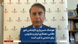 هوشنگ حسن‌یاری کارشناس امور نظامی: همکاری ایران و بلاروس برای دشمنی با غرب است