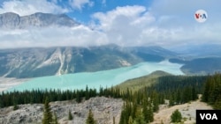 ¿Cabeza de lobo o perro? Muchos turistas llaman al Lago Peyto ¡el lobo de Banff' por su particular figura en la parte inferior. [Foto: Karen Sánchez, VOA]