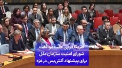 آمریکا در پی جلب موافقت شورای امنیت سازمان ملل برای پیشنهاد آتش‌بس در غزه