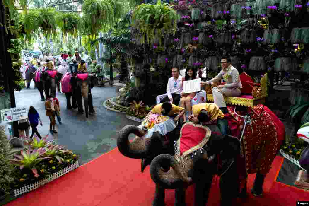 A couple receives their marriage license from an officer on Valentine&#39;s Day, at the Nong Nooch Tropical Garden in Chonburi, Thailand.