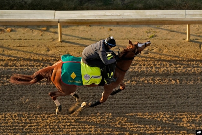 Kentucky Derby entrant Derma Sotogake, from Japan, works out at Churchill Downs May 4, 2023, in Louisville, Ky.