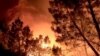 آتش سوزی در جنگل‌های مریوان