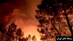 آتش‌سوزی در جنگل‌ها (آرشیو)