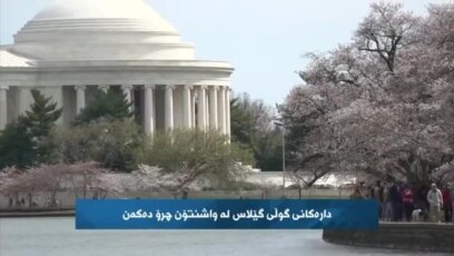 بەرنامەی کورد کۆنێکشن 22ی مانگی سێی 2023