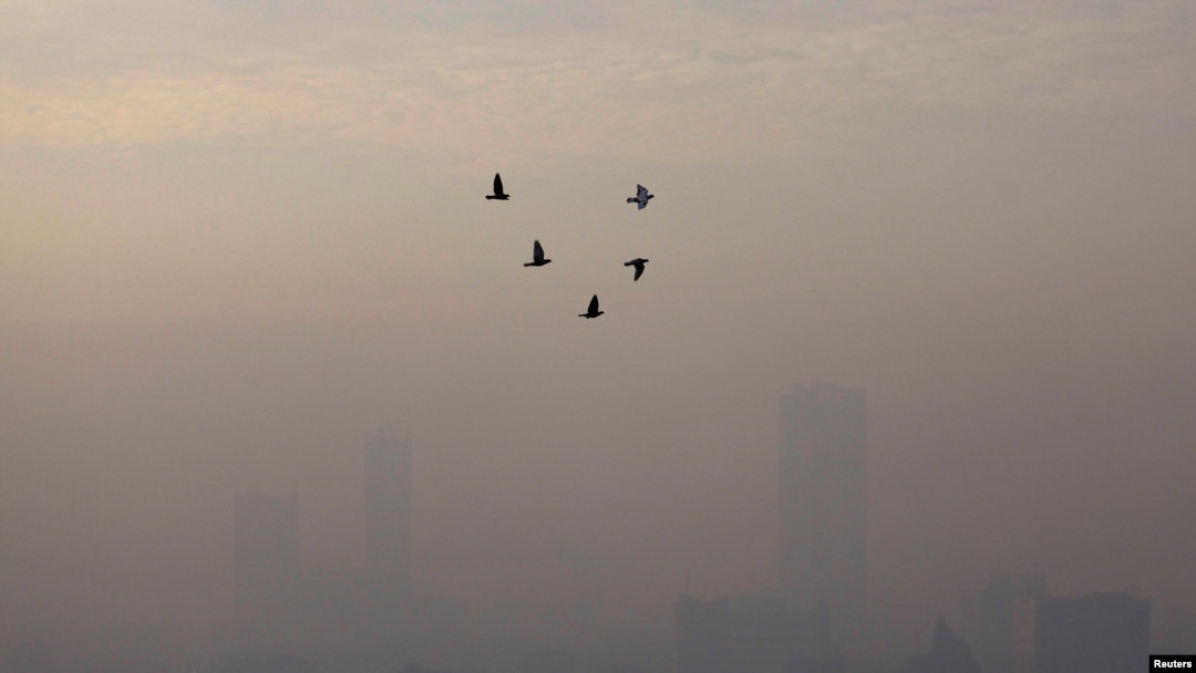 Jakarta named worlds most polluted city
