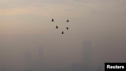 FILE - Birds fly on a smoggy morning in Jakarta, Indonesia, May 27, 2022. 