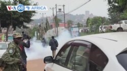 🌍Farafina Ngun kunafoniw sanga kelin kono 