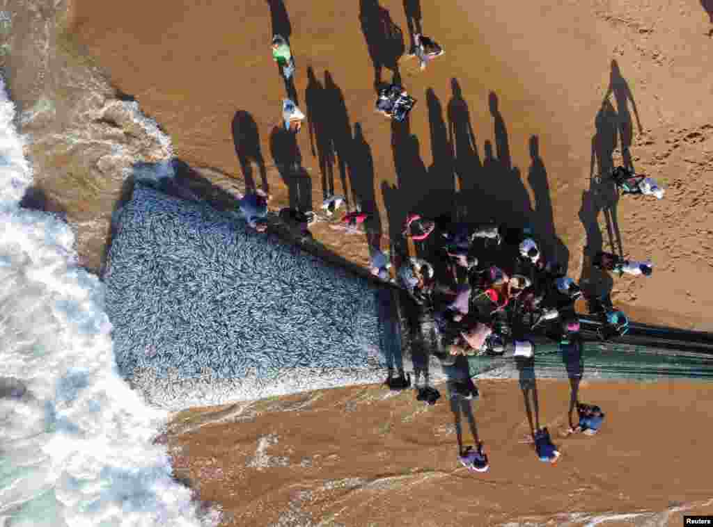 A drone view of fishermen unloading fish caught in a net during the sardine run in Scottburgh, South Africa.