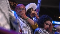 Sidelined at the DNC, pro-Palestinian Democrats play the long game 