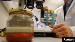 A jar containing saffron preserved in water that was retrieved from the wreck of a 15th century Danish warship, the Gribshunden, after more than 500 years on the seabed, sits in a laboratory in Lund University, Denmark, March 2, 2023. 