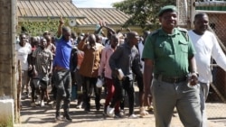 Zimbabwe human rights groups demand government reform