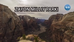Amerikaga sayohat: Zayon milliy parki