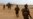 Death of Islamic State Leader Not Seen as Diminishing Long-Term Threat
