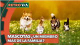 Thumbnail horizontal RETRO VOA