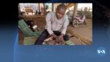 🇲🇱VOA Bambara ka bi baroni kenekan Mariam Traore ye Kumadi garake dow ma. 