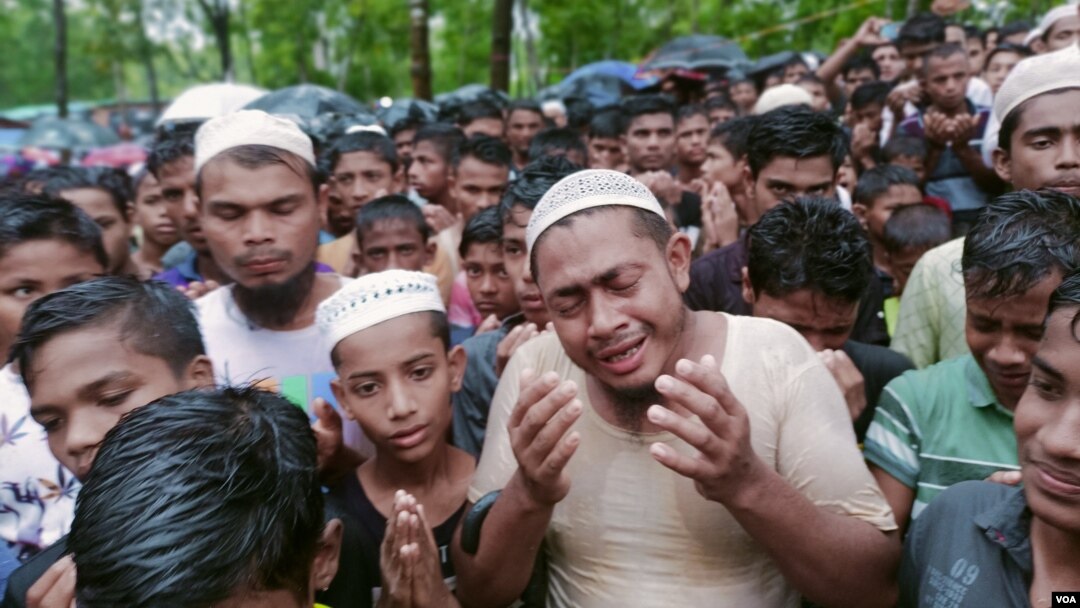 仙人掌　live on refugee Live On Refugee The Mixtape/仙人掌｜HIPHOP/R&B｜ディスク