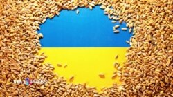 Putin lại nguỵ biện về lý do Nga rút khỏi thỏa thuận ngũ cốc Biển Đen